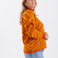 Alternative view of Media Polera CEBRA