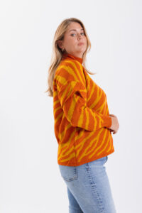 Alternative view of Media Polera CEBRA